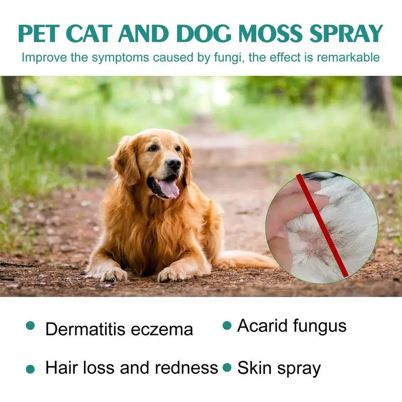 Cat and Dog Skin Problems Pet Moss Spray 30ml Pet Cleaning Care Anti-Itch Spray Provide Instant Relief Pet Healthy Care Supplies