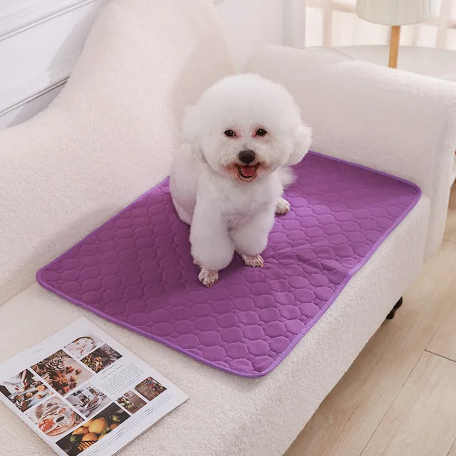 Dog Pee Pad Blanket Reusable Absorbent Diaper Washable Puppy Training Pad Pet Bed Urine Mat for Pet Car Seat Cover Pet Supplies