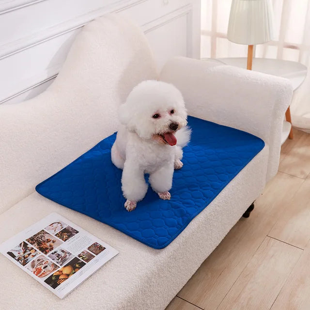 Dog Pee Pad Blanket Reusable Absorbent Diaper Washable Puppy Training Pad Pet Bed Urine Mat for Pet Car Seat Cover Pet Supplies