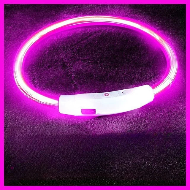 Pet Dog Led Light Collar Luminous Anti-Lost Dog Collar USB Rechargeable Dog Necklace Collar