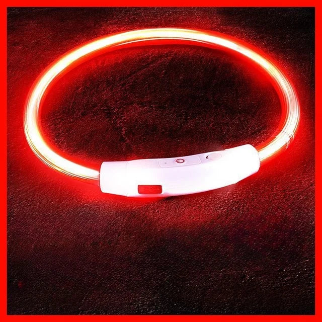 Pet Dog Led Light Collar Luminous Anti-Lost Dog Collar USB Rechargeable Dog Necklace Collar