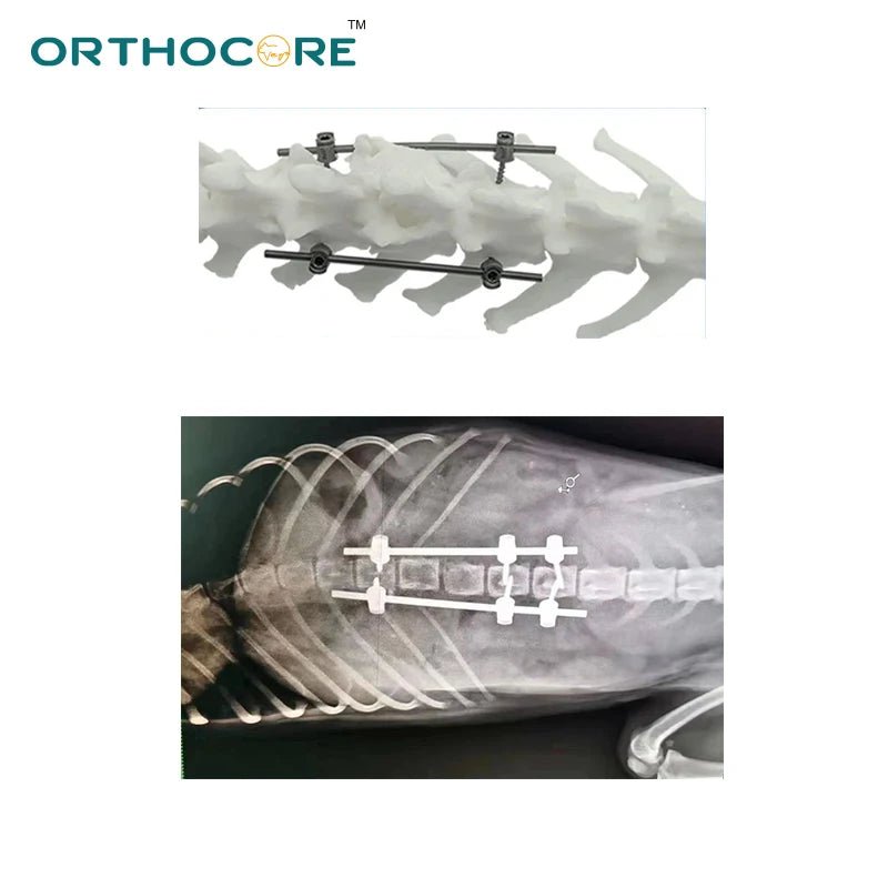 veterinary spine fixation kit for small animal orthopedic surgery orthopedic instruments